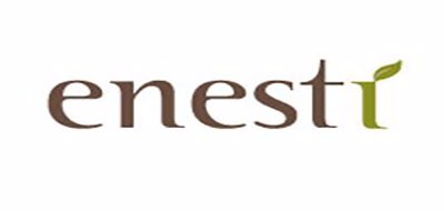 Enesti是什么牌子_伊奈丝蒂品牌怎么样?