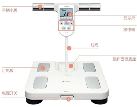 欧姆龙体脂秤怎么选?欧姆龙体脂秤有什么不同的功能? 欧姆龙体脂秤怎么选?欧姆龙体脂秤有什么不同的功能?