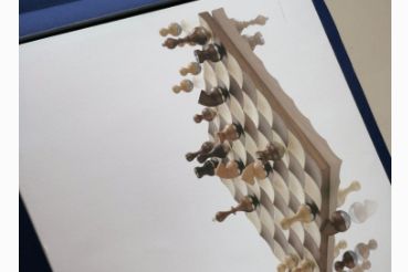 Umbra不倒翁国际象棋的棋盘是水波纹吗？价格多少？-1