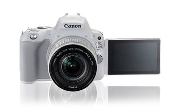家用佳能相机哪款好?佳能相机哪款性价比高? 家用佳能相机哪款好?佳能相机哪款性价比高?