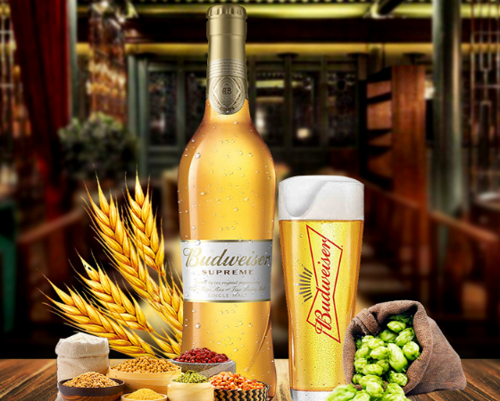 百威啤酒哪款好喝?百威啤酒怎么选味道? 百威啤酒哪款好喝?百威啤酒怎么选味道?