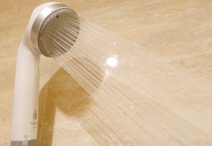 东丽比诺花洒好吗?价格是多少? 东丽比诺花洒好吗?价格是多少?