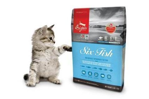 渴望猫粮哪种口味好？渴望猫粮哪款值得买？-1