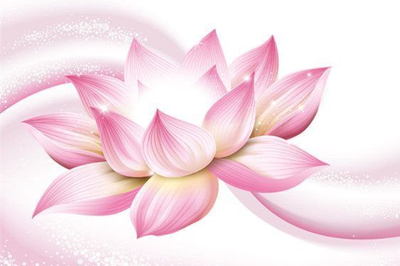 去黑色素什么产品好 初源漾粉嫩效果众人称赞-1