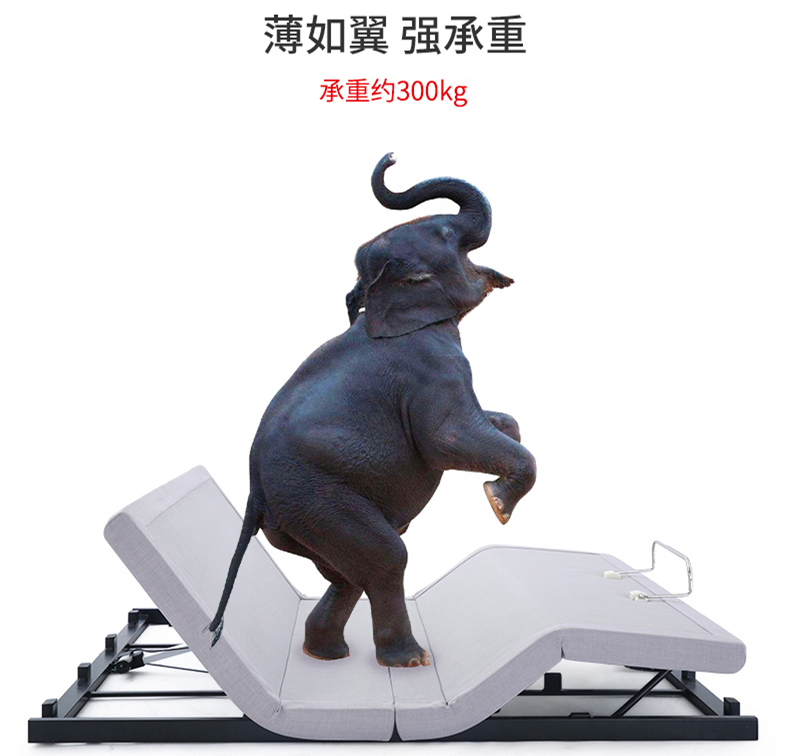 2019年买张智能床做年货,健康实用又放心 2019年买张智能床做年货,健康实用又放心