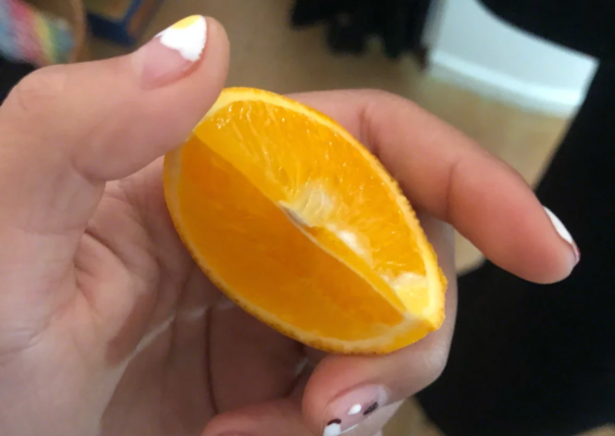 麻阳冰糖橙试吃 过年水果囤起来