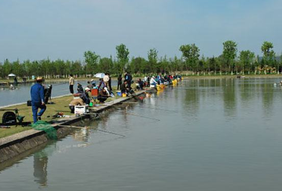 钓鱼新手适合用什么鱼竿?钓鱼新手鱼竿推荐 钓鱼新手适合用什么鱼竿?钓鱼新手鱼竿推荐