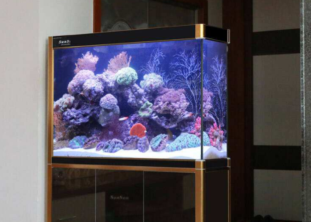 【鱼缸知识百科】鱼缸的详细分类大全 【鱼缸知识百科】鱼缸的详细分类大全