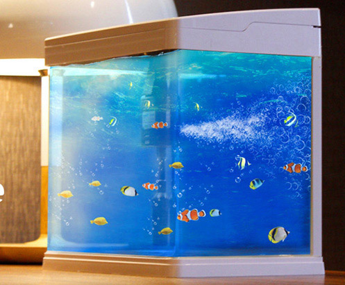 【鱼缸知识百科】——新鱼缸开缸图文教程 【鱼缸知识百科】——新鱼缸开缸图文教程