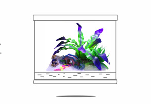 【鱼缸知识百科】——新鱼缸开缸图文教程 【鱼缸知识百科】——新鱼缸开缸图文教程