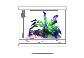 【鱼缸知识百科】——新鱼缸开缸图文教程 【鱼缸知识百科】——新鱼缸开缸图文教程