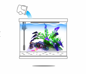 【鱼缸知识百科】——新鱼缸开缸图文教程 【鱼缸知识百科】——新鱼缸开缸图文教程