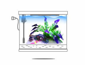 【鱼缸知识百科】——新鱼缸开缸图文教程 【鱼缸知识百科】——新鱼缸开缸图文教程