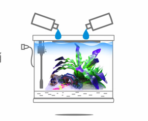 【鱼缸知识百科】——新鱼缸开缸图文教程 【鱼缸知识百科】——新鱼缸开缸图文教程