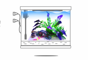 【鱼缸知识百科】——新鱼缸开缸图文教程 【鱼缸知识百科】——新鱼缸开缸图文教程