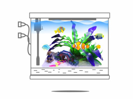 【鱼缸知识百科】——新鱼缸开缸图文教程 【鱼缸知识百科】——新鱼缸开缸图文教程