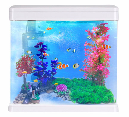 【鱼缸知识百科】——新鱼缸开缸图文教程 【鱼缸知识百科】——新鱼缸开缸图文教程