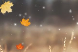 浪涌保护器功能详细分析 -1