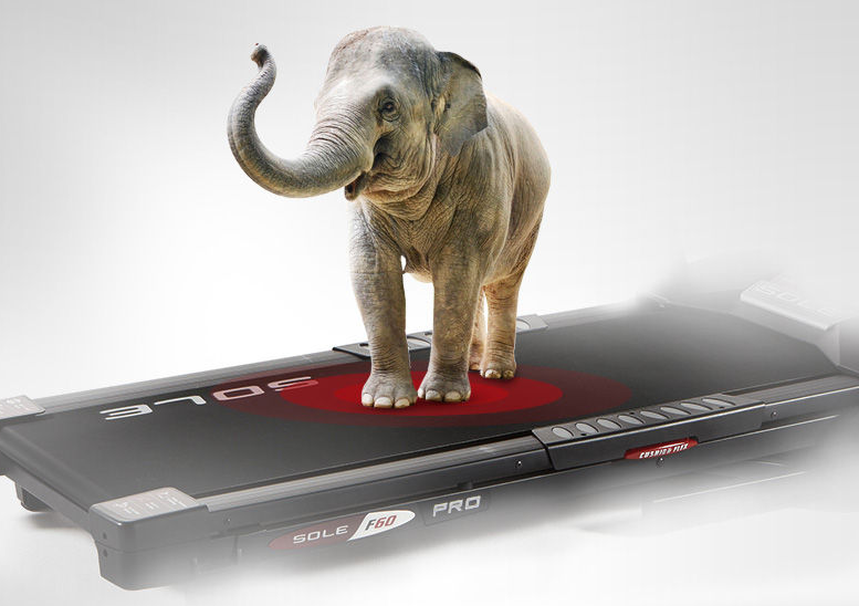 2019十大跑步机品牌 练出你的好身材 2019十大跑步机品牌 练出你的好身材