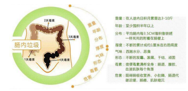【养生小知识】——酵素排毒原理是什么? 【养生小知识】——酵素排毒原理是什么?