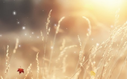 浪涌保护器功能详细分析 浪涌保护器功能详细分析