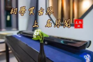 初学买古琴，古琴的音色怎么挑？-1