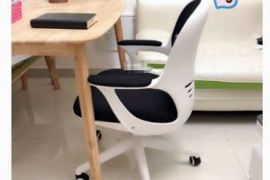 黑白调蛋壳椅多少钱？黑白调蛋壳椅坐着舒适吗？-1