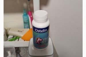 Ostelin儿童钙片什么口味？口感好吗？-1