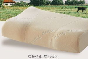 金可儿枕头多少钱一个？真的可以护着脊椎吗？-1