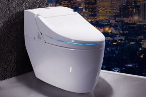摩恩一体马桶好用吗？价格大概是多少？-1