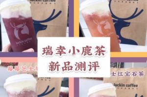 瑞幸小鹿茶测评？瑞幸咖啡小鹿茶哪款最好喝？-1