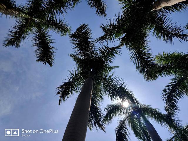 一加7真实上手体验:这个价位的真机皇 一加7真实上手体验:这个价位的真机皇