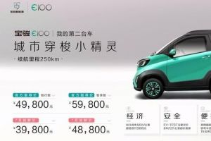 3.98万元起，续航250km，五星安全，还是我们认识的新能源小车吗-1