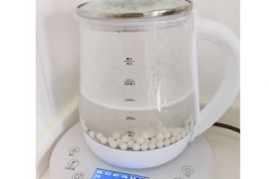 和庭养生壶质量怎么样？价格贵不贵？-1