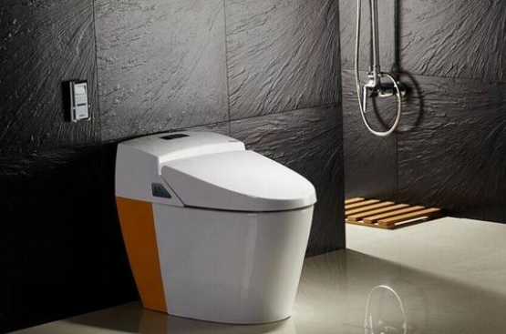 智能马桶有必要买吗?用过的感觉如何? 智能马桶有必要买吗?用过的感觉如何?