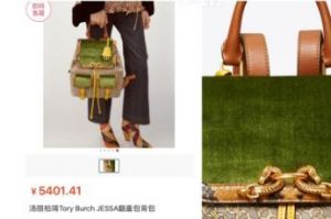 toryburch双肩包介绍？toryburch双肩包好看吗？-1