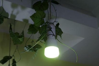 yeelight led灯介绍？yeelight灯值得买吗？-1