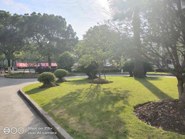 重度使用两周的vivo Z5x深度测评!这些独特体验你应该知道 重度使用两周的vivo Z5x深度测评!这些独特体验你应该知道