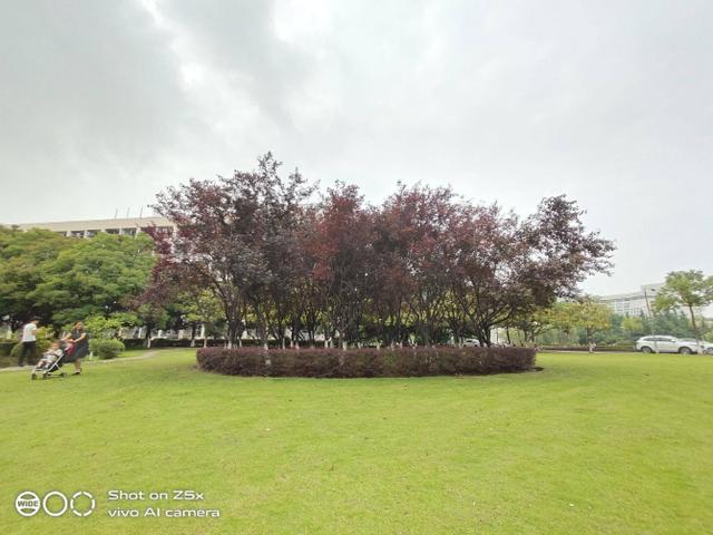 重度使用两周的vivo Z5x深度测评!这些独特体验你应该知道 重度使用两周的vivo Z5x深度测评!这些独特体验你应该知道