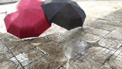 绅士与暴徒,169的雨伞与69的对比,绅士手开自动收美收伞 绅士与暴徒,169的雨伞与69的对比,绅士手开自动收美收伞