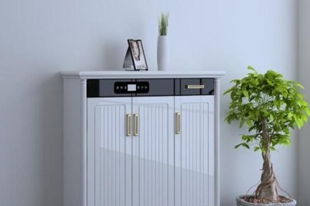 智能鞋柜有何具体功能？智能鞋柜选购技巧-3