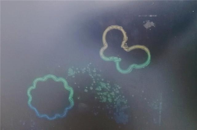 护眼无蓝光,开启宝宝的绘画启蒙之路——绘特美液晶画板评测 护眼无蓝光,开启宝宝的绘画启蒙之路——绘特美液晶画板评测