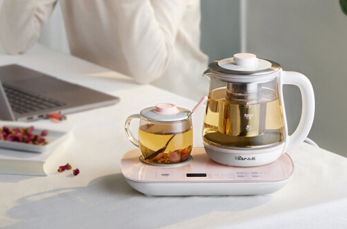 养生壶选购指南:选择一款好用的养生壶 养生壶选购指南:选择一款好用的养生壶