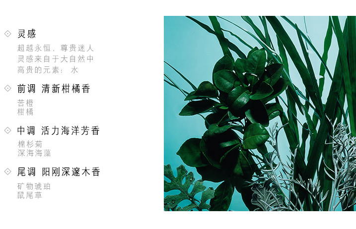 男士香水如何选择 男士香水使用方法 男士香水如何选择 男士香水使用方法