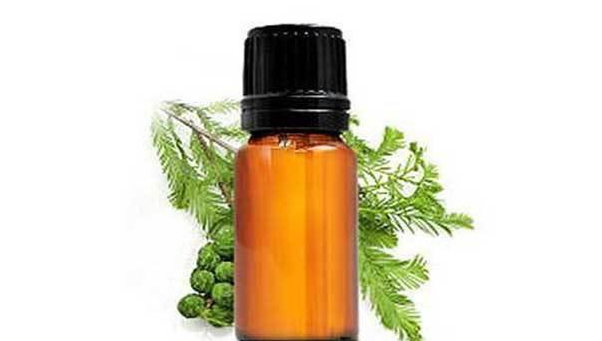 茶树精油祛痘的使用方法 使用茶树精油要注意什么 茶树精油祛痘的使用方法 使用茶树精油要注意什么