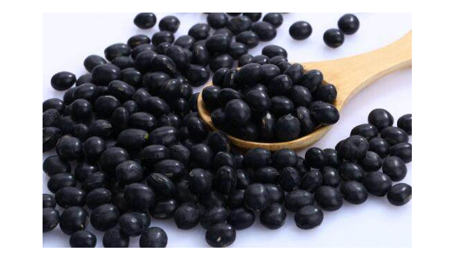 防脱发洗发水有用吗 怎么样预防防脱发 防脱发洗发水有用吗 怎么样预防防脱发