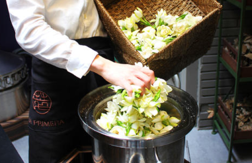 纯露小百科:纯露和爽肤水有什么不同 纯露小百科:纯露和爽肤水有什么不同