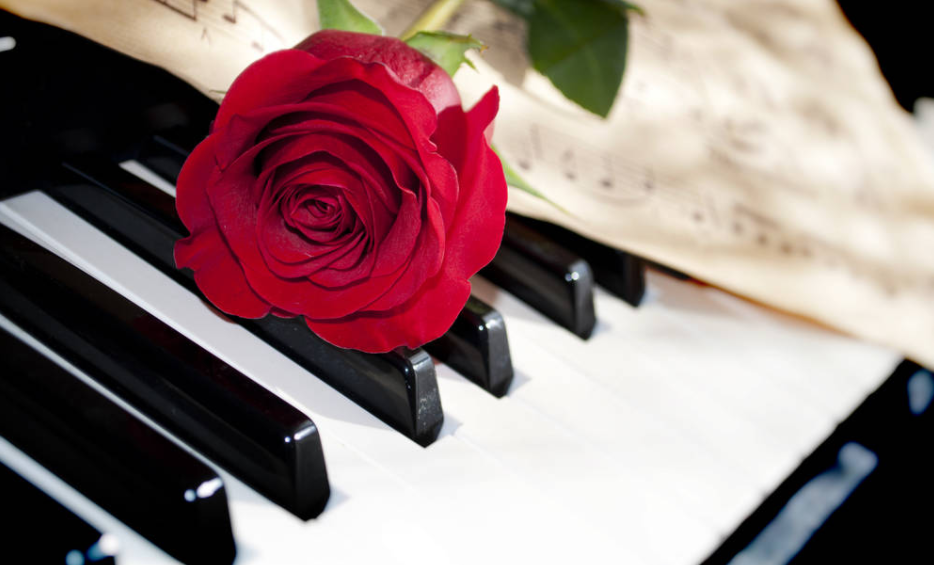 钢琴知识百科:钢琴怎么选 电钢琴与钢琴的区别 钢琴知识百科:钢琴怎么选 电钢琴与钢琴的区别