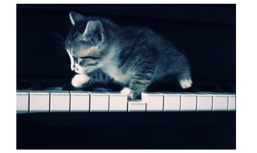 钢琴知识百科:钢琴怎么选 电钢琴与钢琴的区别 钢琴知识百科:钢琴怎么选 电钢琴与钢琴的区别