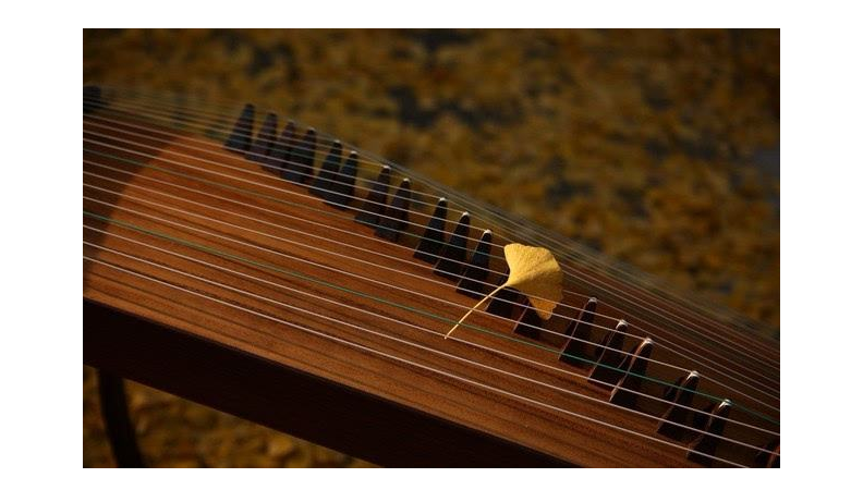 古筝如何选择 古筝与古琴的区别 古筝如何选择 古筝与古琴的区别